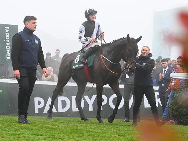 ROMEO COOLIO: the son of Kayf Tara walks in to the winners' spot after his first Grade 1 victory in the 2m novice hurdle at Leopardstown 