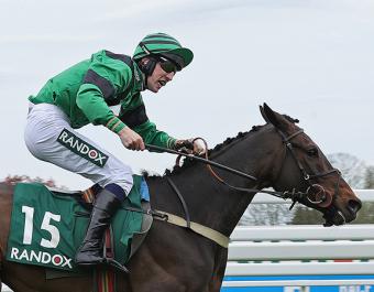 Arizona Cardinal: Aintree's Grade 3 Topham Handicap Chase winner was sold at the Tattersalls Cheltenham May Sale by Colin Bowe's Milestone Stables, bought by JD Moore and David Mitson for £16,000