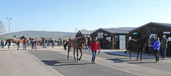 Cheltenham May Sale